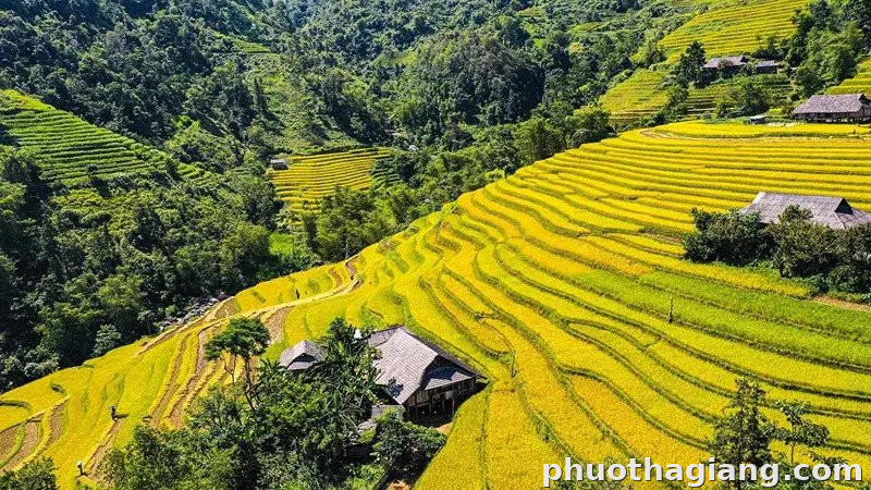 Bản Luốc
