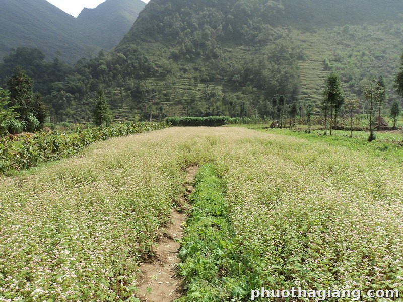 Con đường Hạnh Phúc