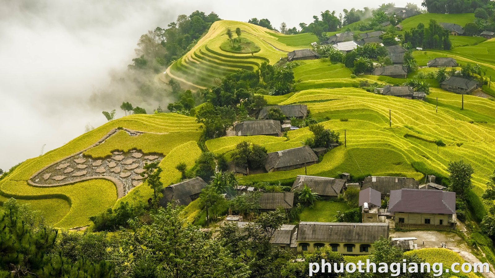 Bản Phùng