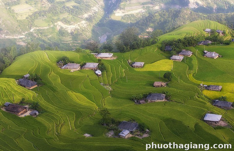 Bản Phùng